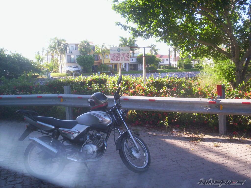 Photo 713714