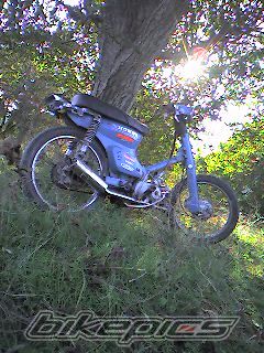Bike Photo 713936