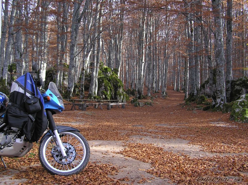 Bike Photo 714439