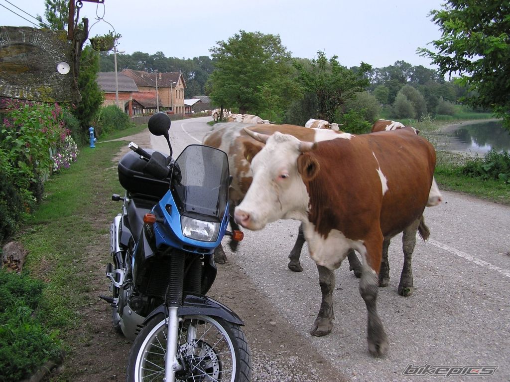 Bike Photo 714450