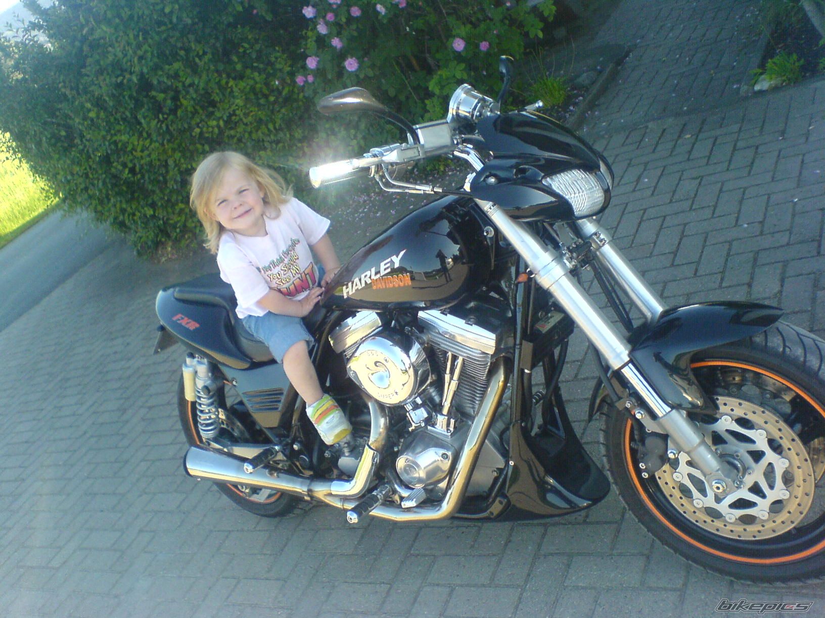 Photo 714725