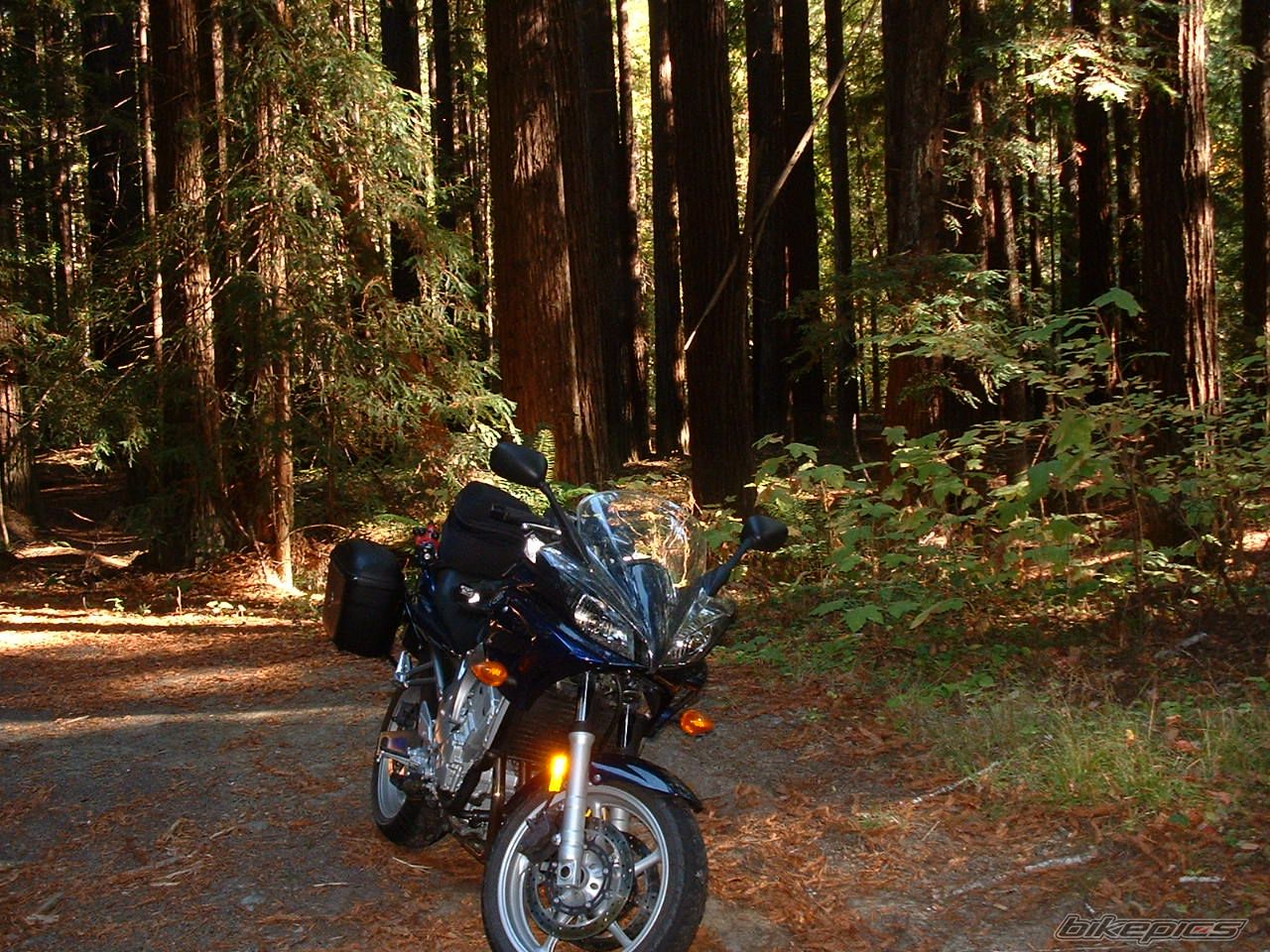 Bike Photo 714801