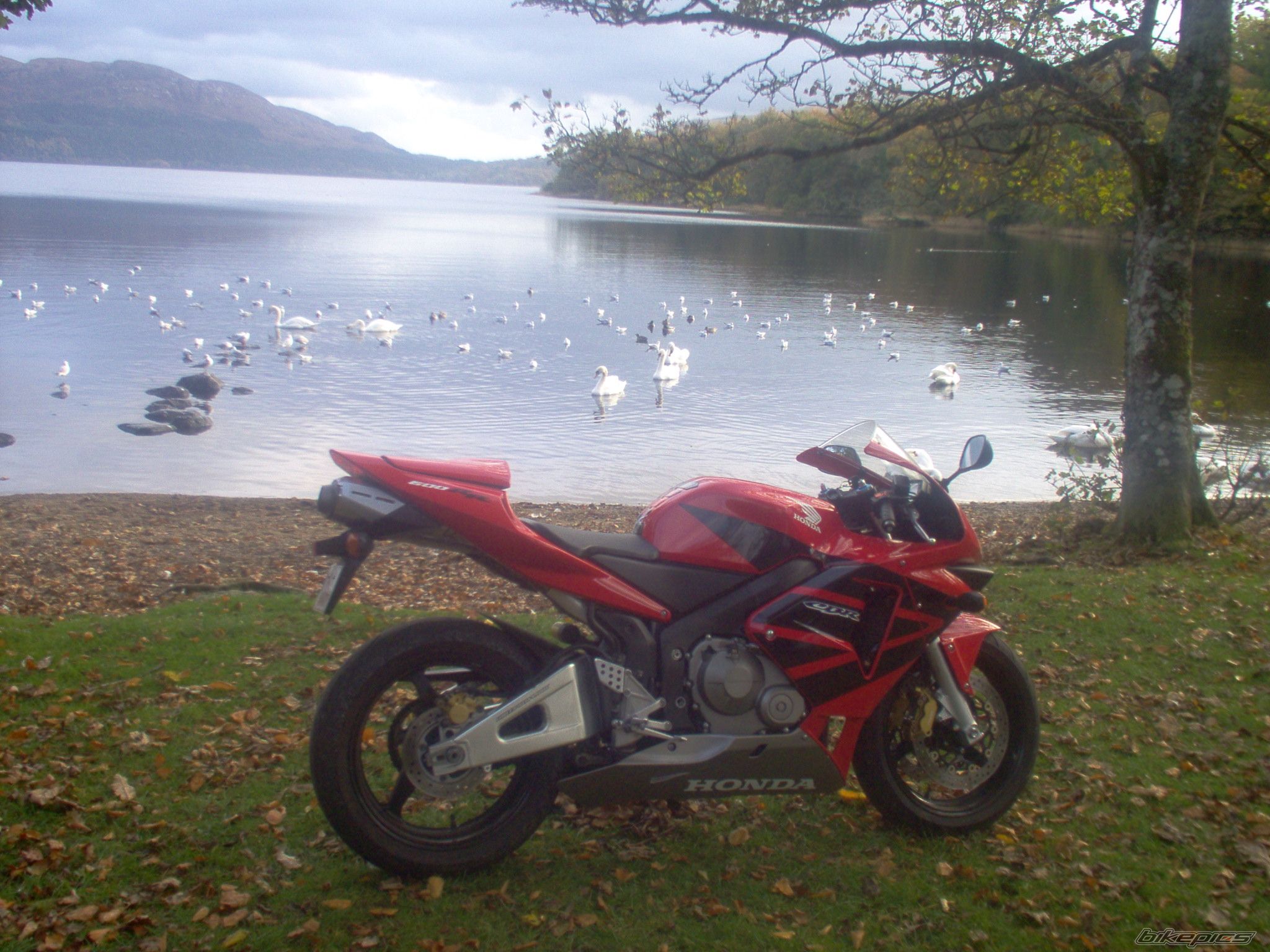 Bike Photo 715135