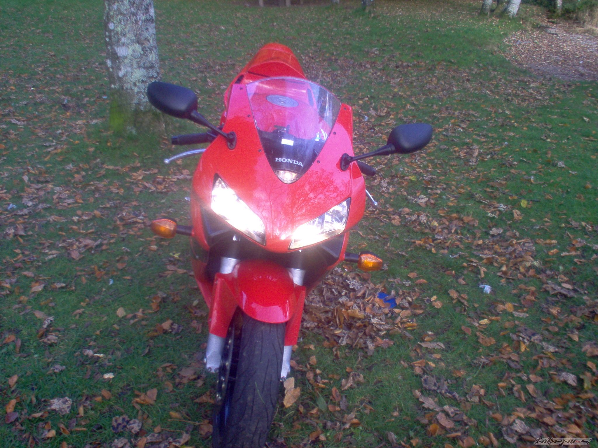 Photo 715137