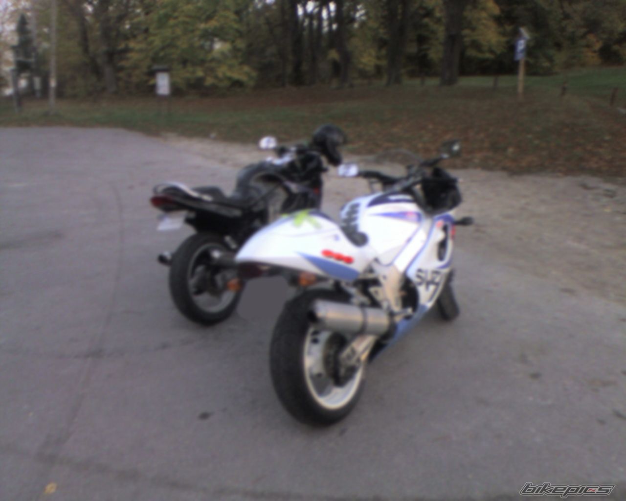 Photo 715255