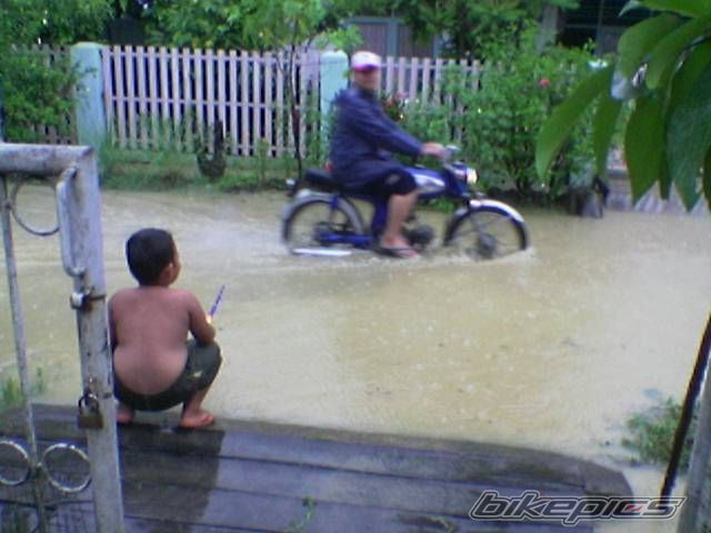 Photo 715727