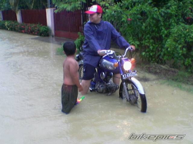 Photo 715742