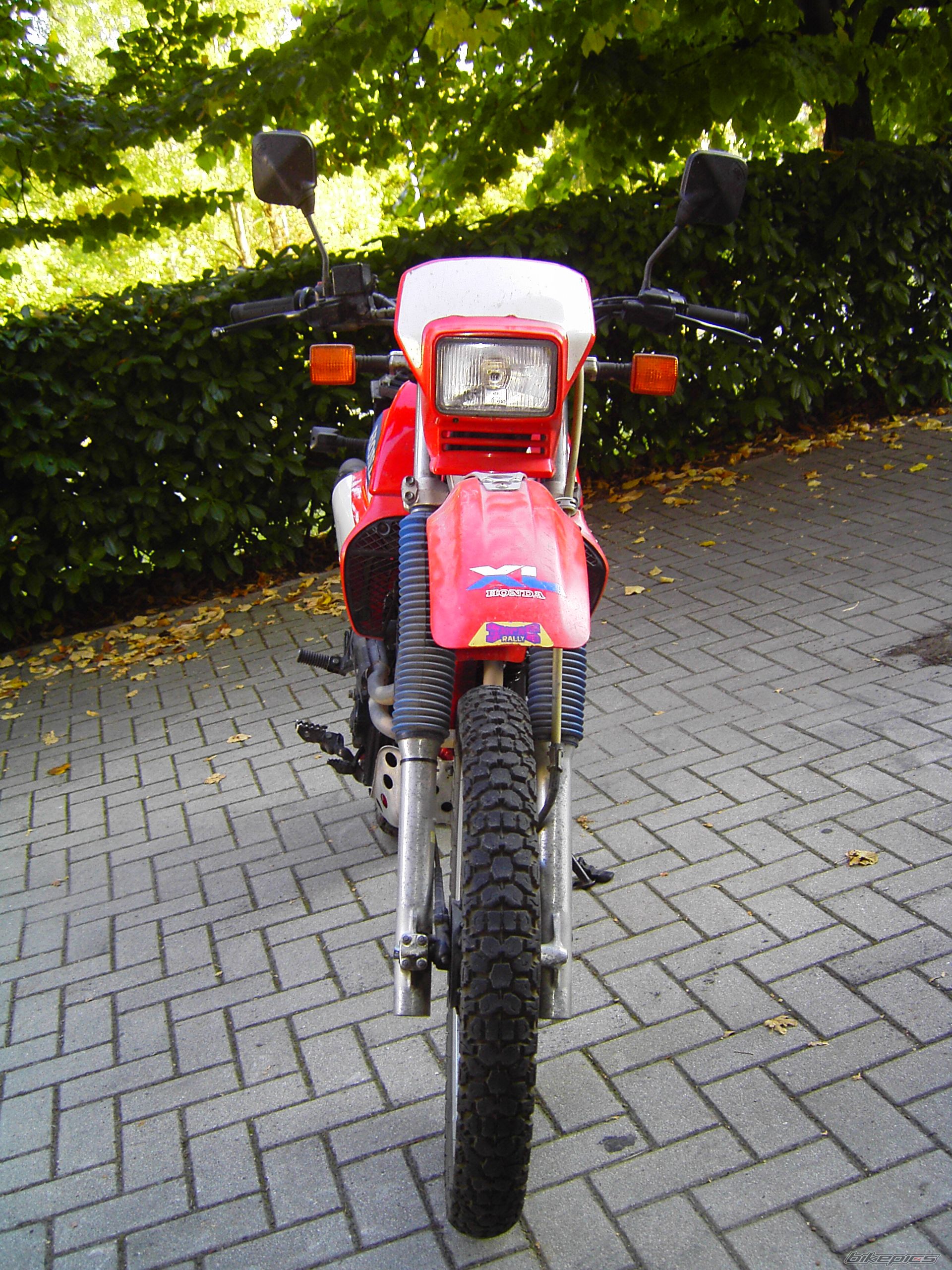 Bike Photo 716019