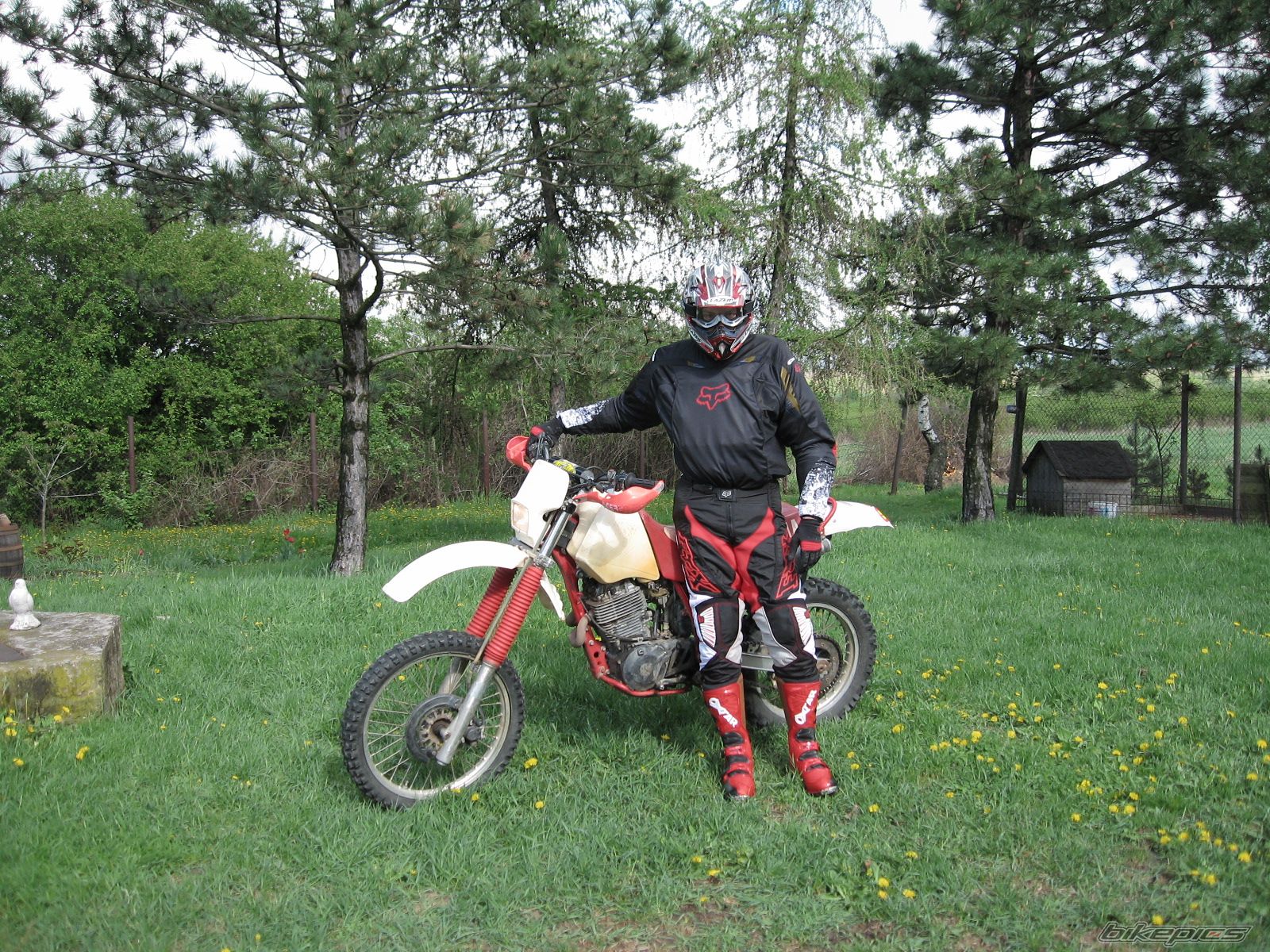 Bike Photo 716074