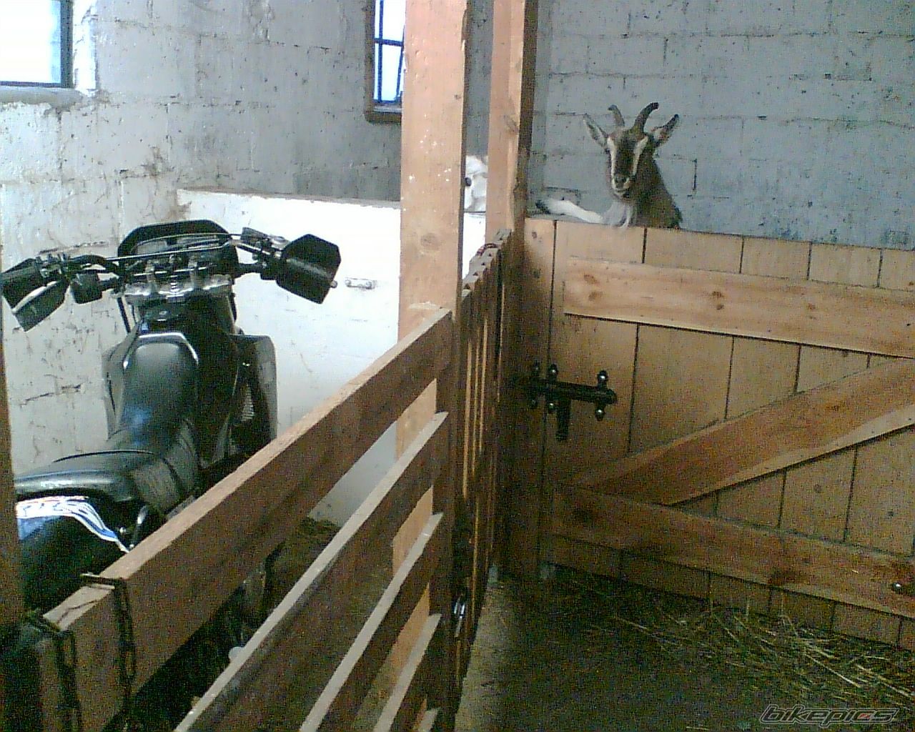 Photo 716084