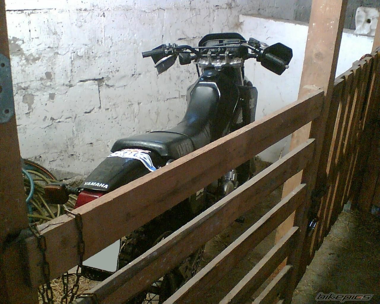 Photo 716092