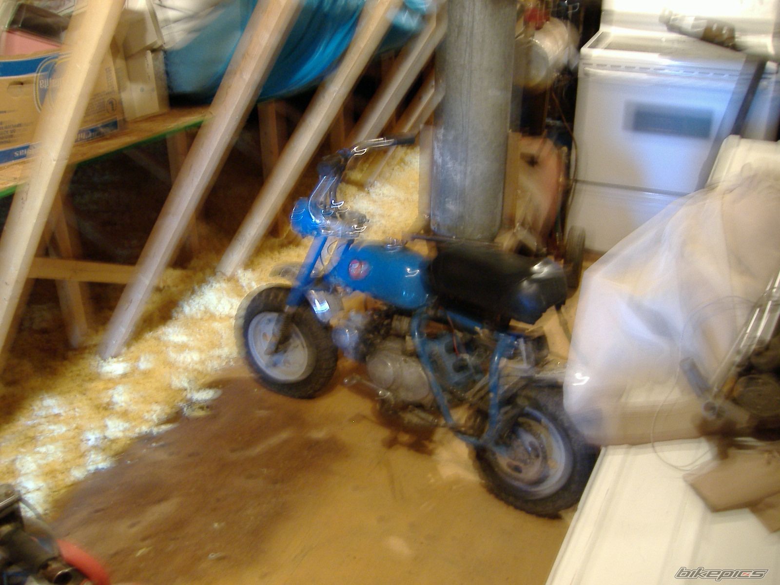 Photo 716467