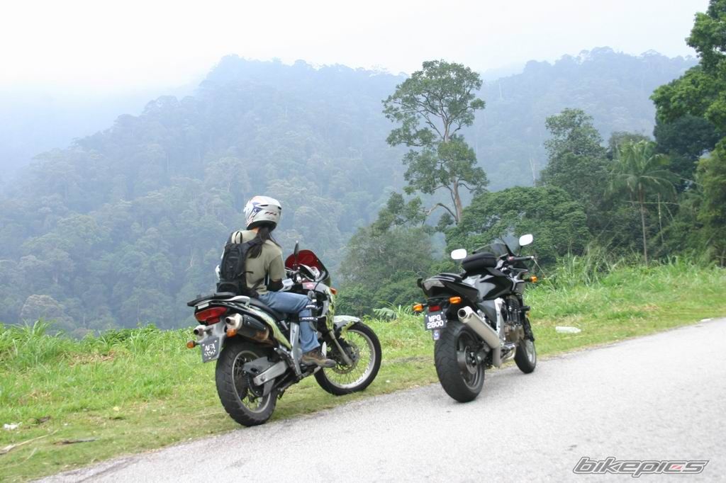 Bike Photo 716557