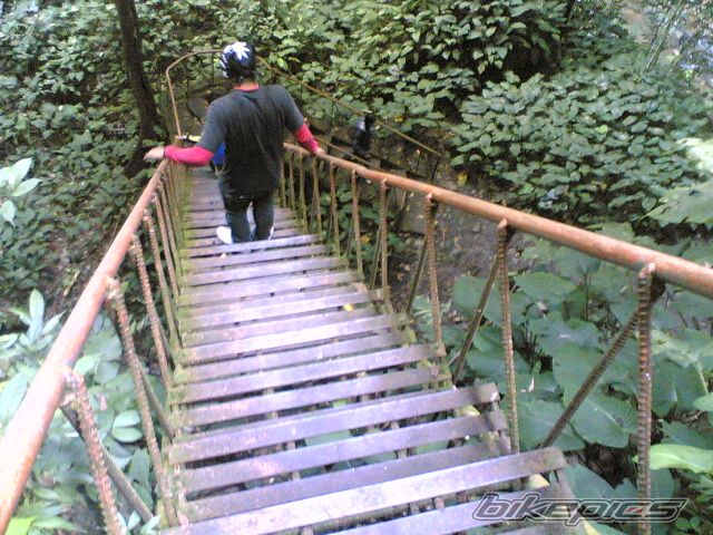 Photo 716706