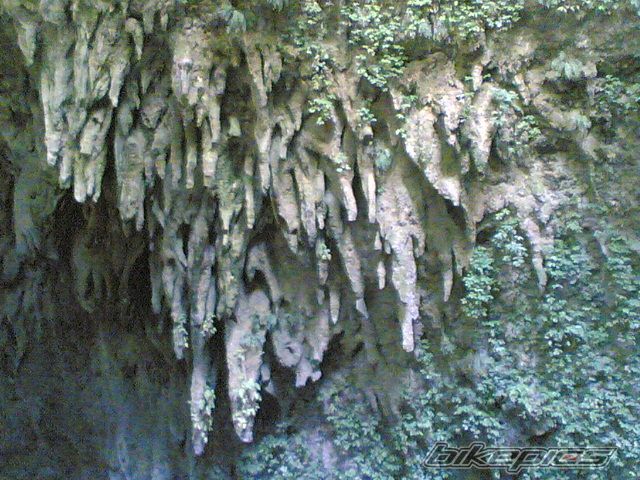 Photo 716711