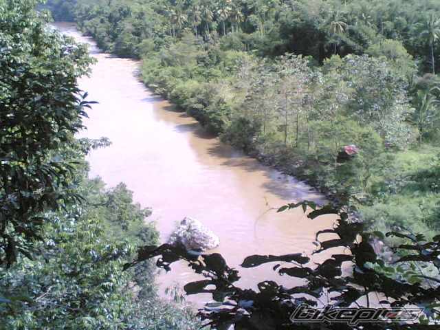 Photo 716714