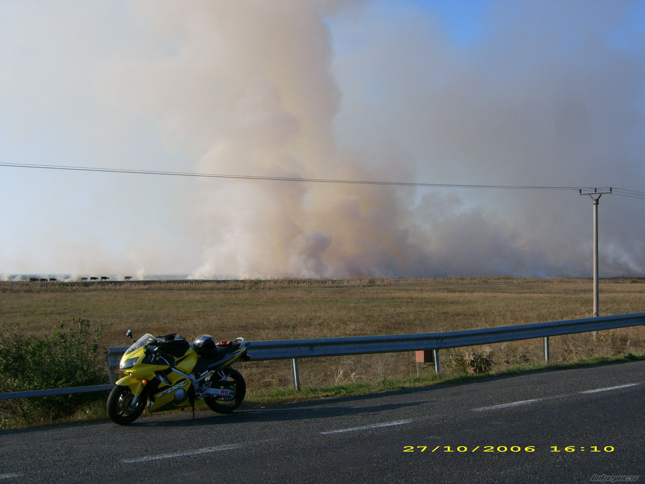 Photo 716723