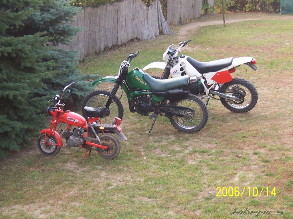 Bike Photo 716907