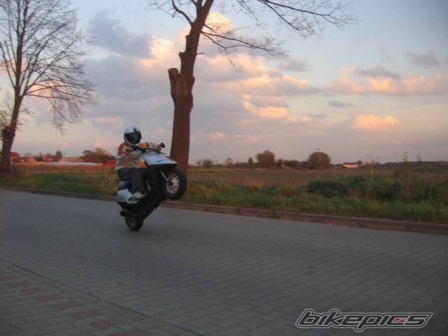 Photo 716976
