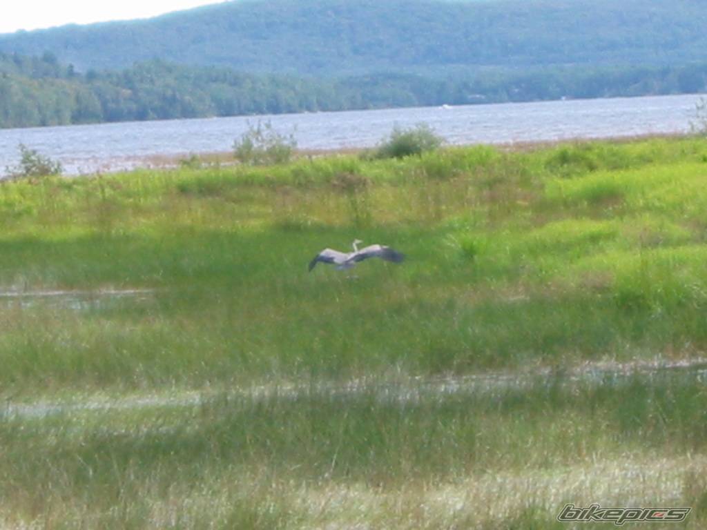 Photo 71710