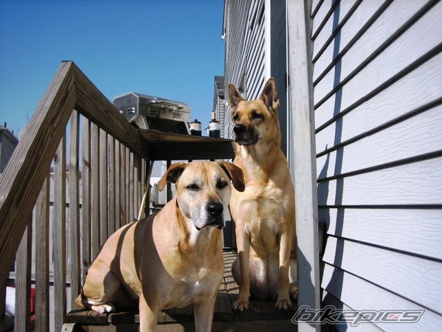 Photo 717119