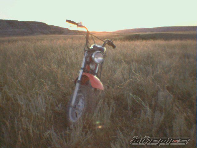 Photo 717507