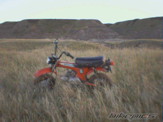 Photo 717509