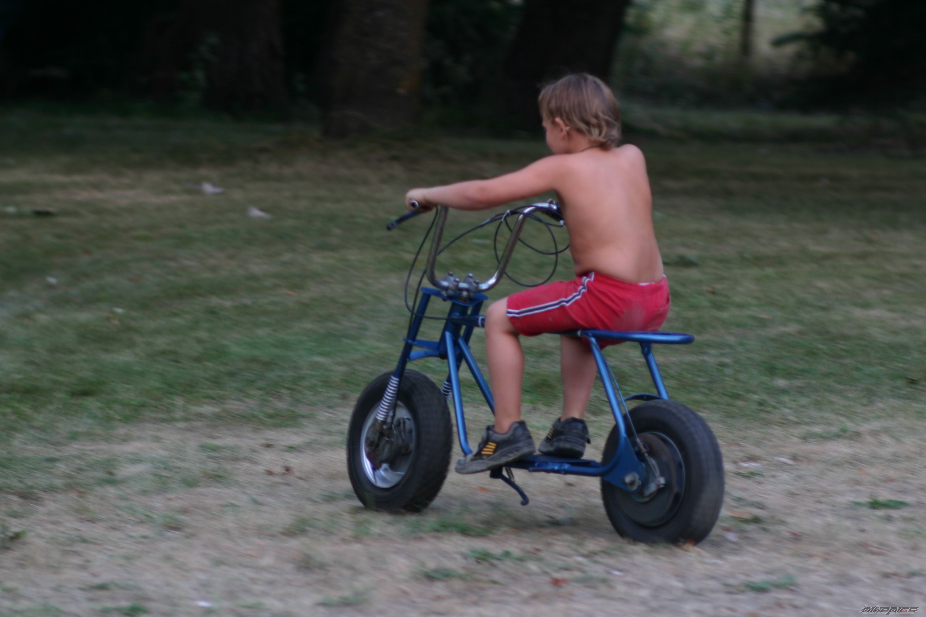 Photo 717573