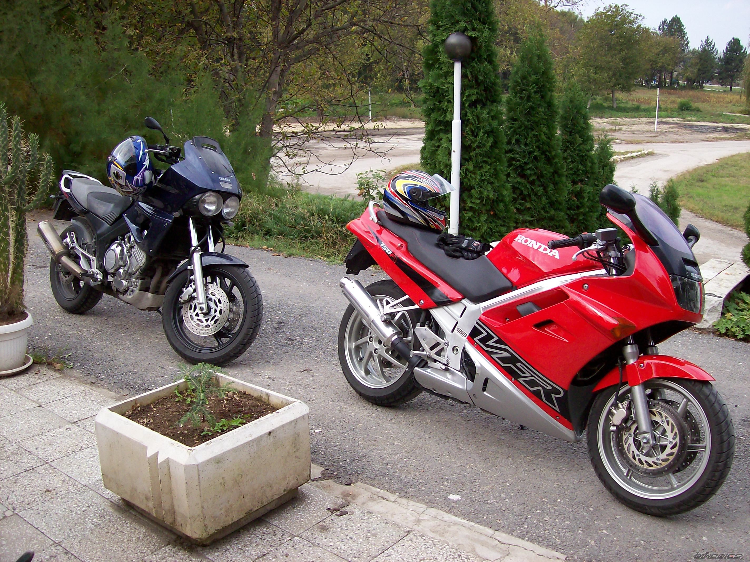Photo 717638