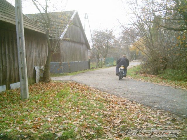 Photo 717728