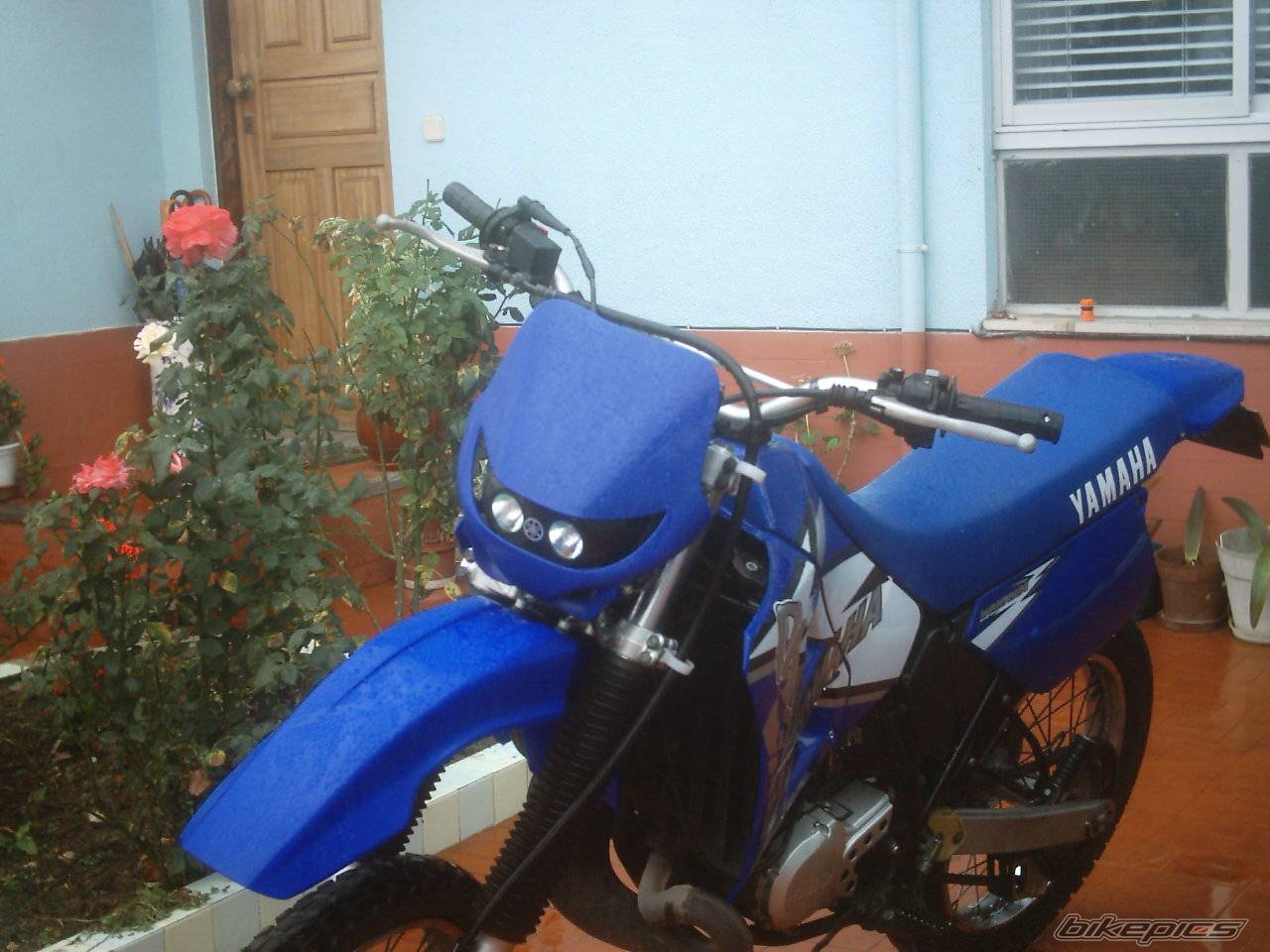 Photo 71794