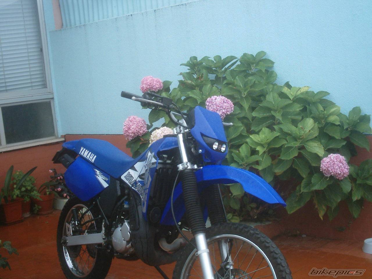 Photo 71797