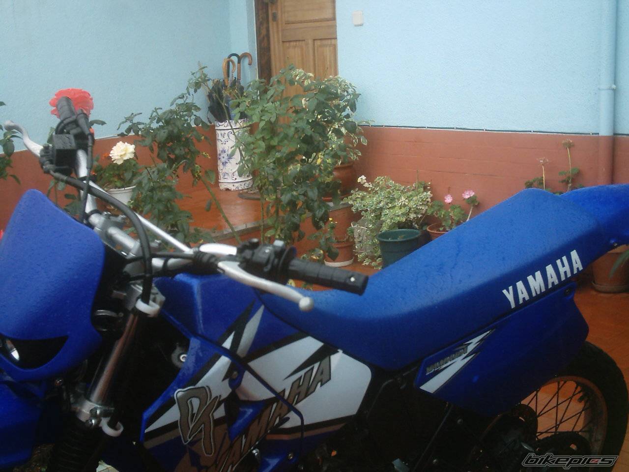 Bike Photo 71799