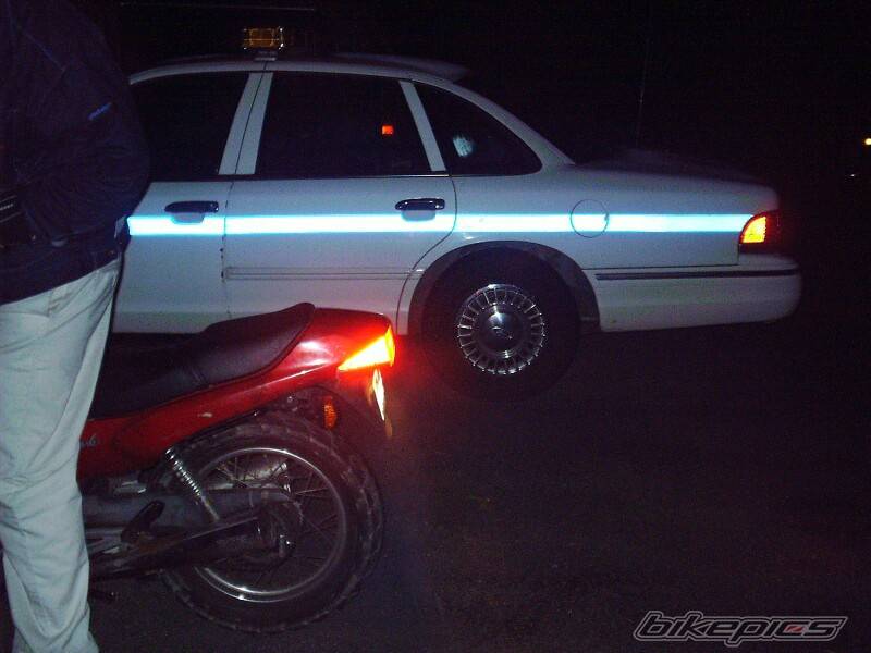 Photo 71831