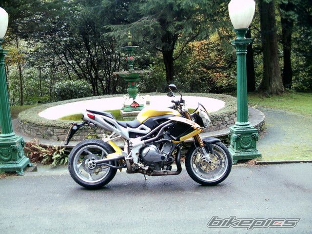 Photo 718362