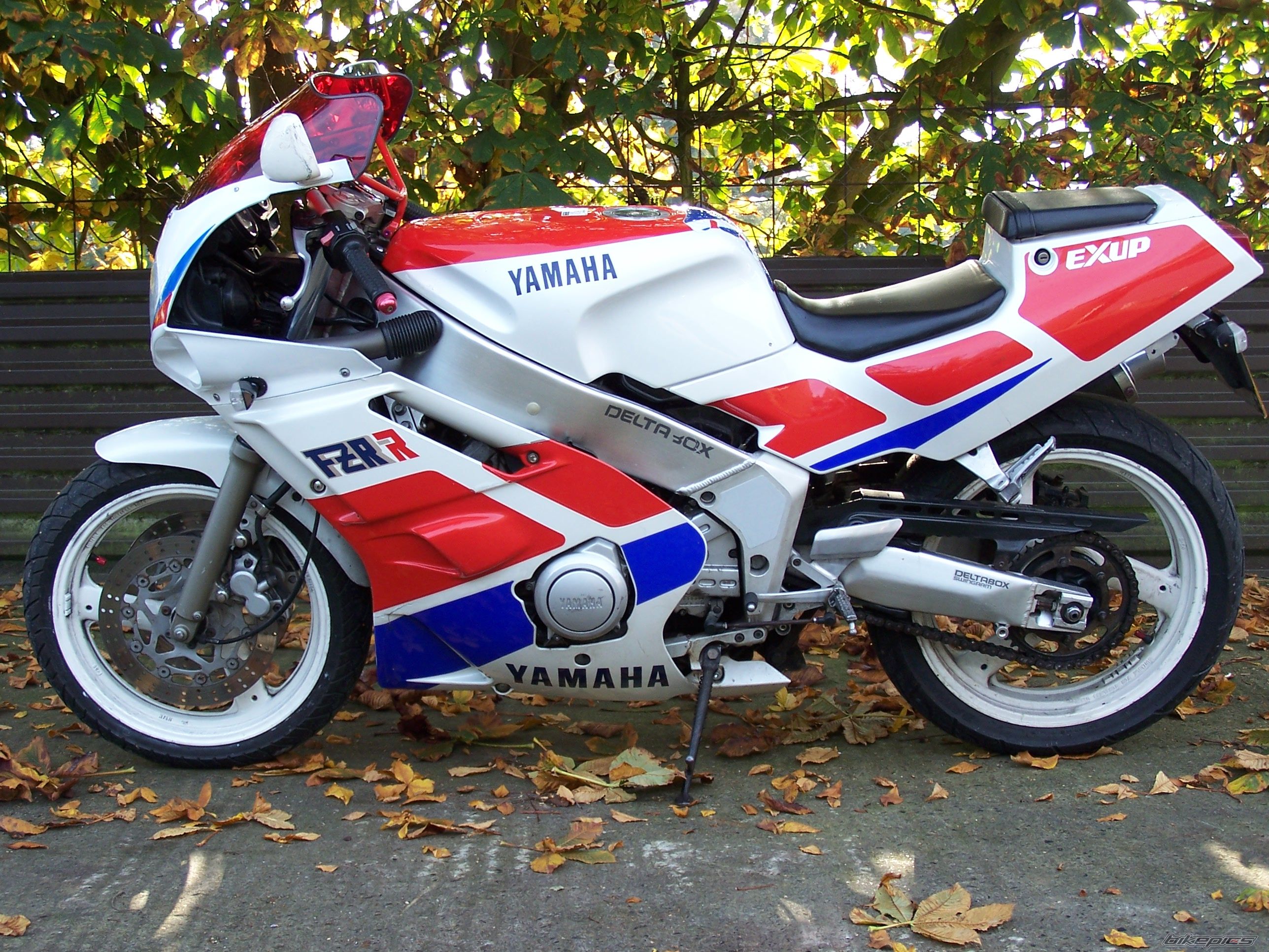 Bike Photo 718409
