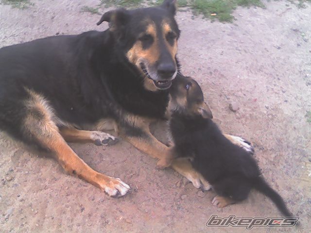 Photo 718470