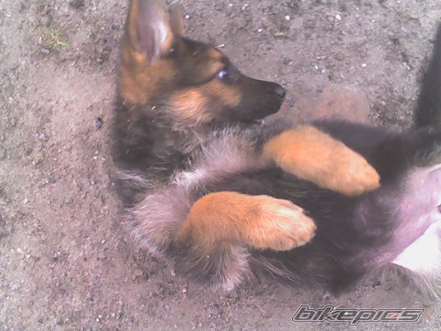 Photo 718473