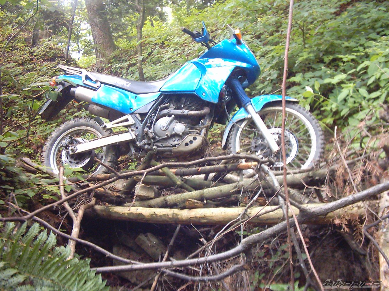 Bike Photo 718559