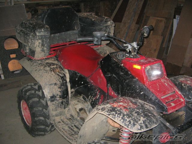 Photo 718699