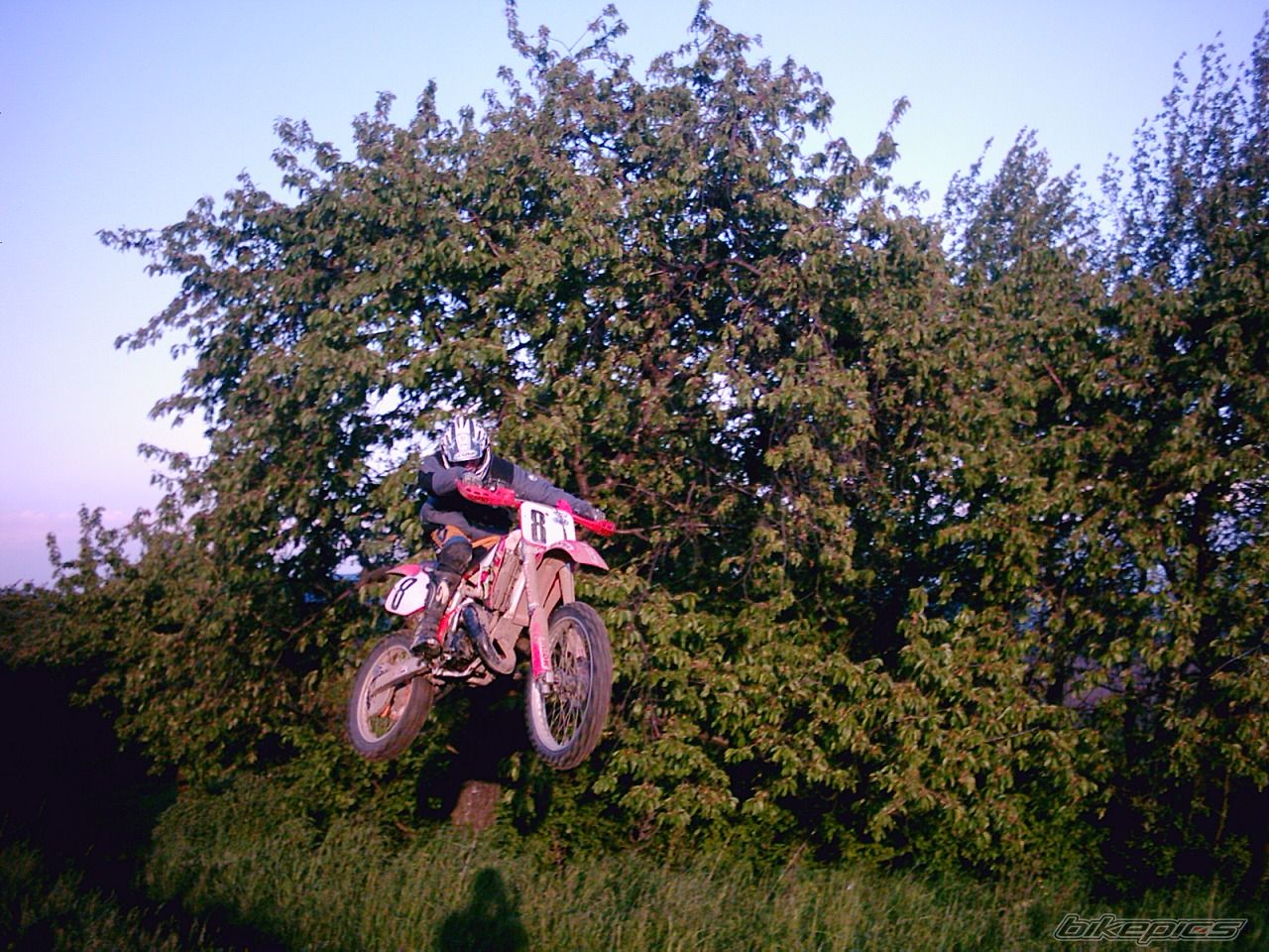 Photo 719140