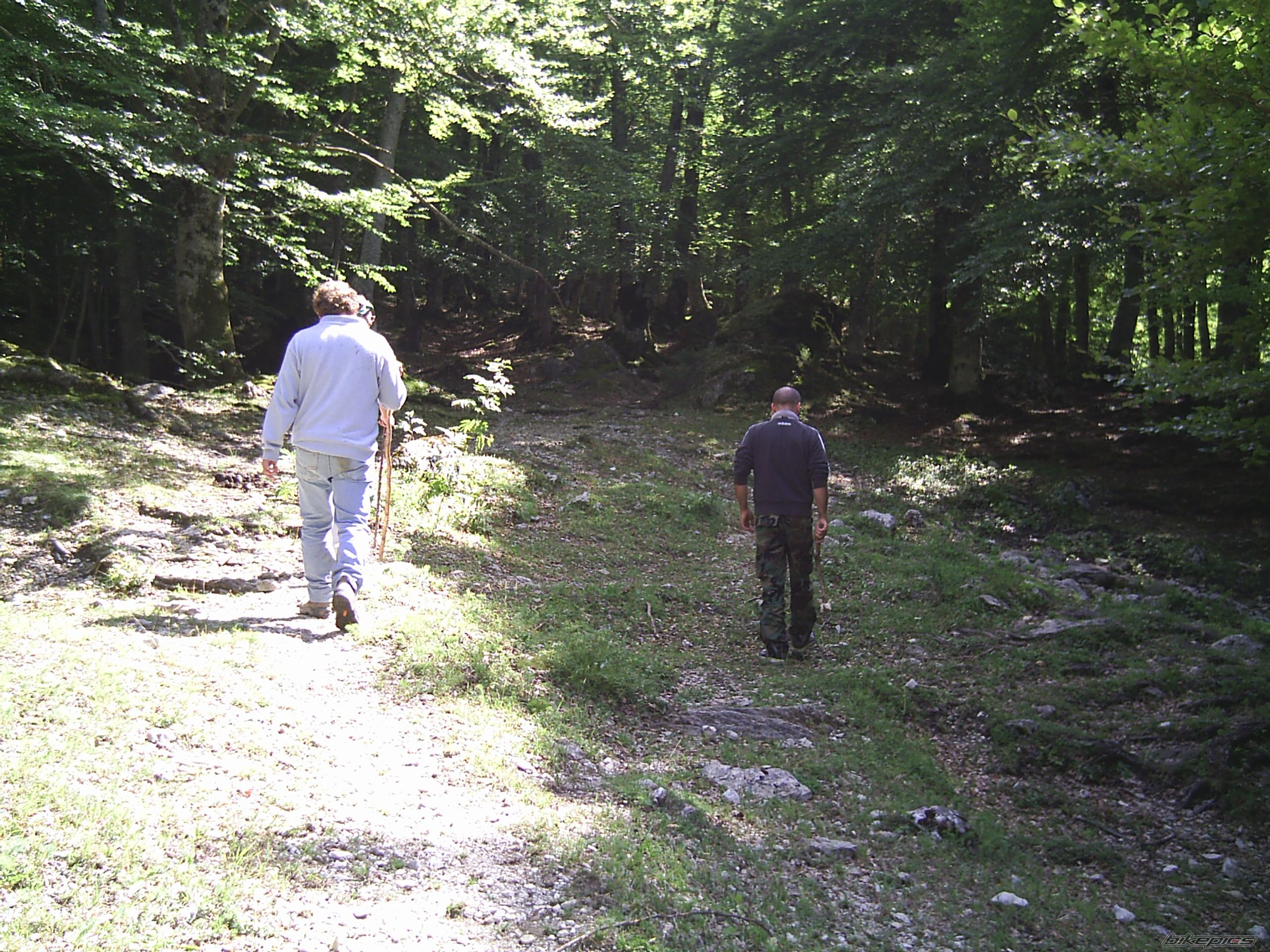 Photo 719218