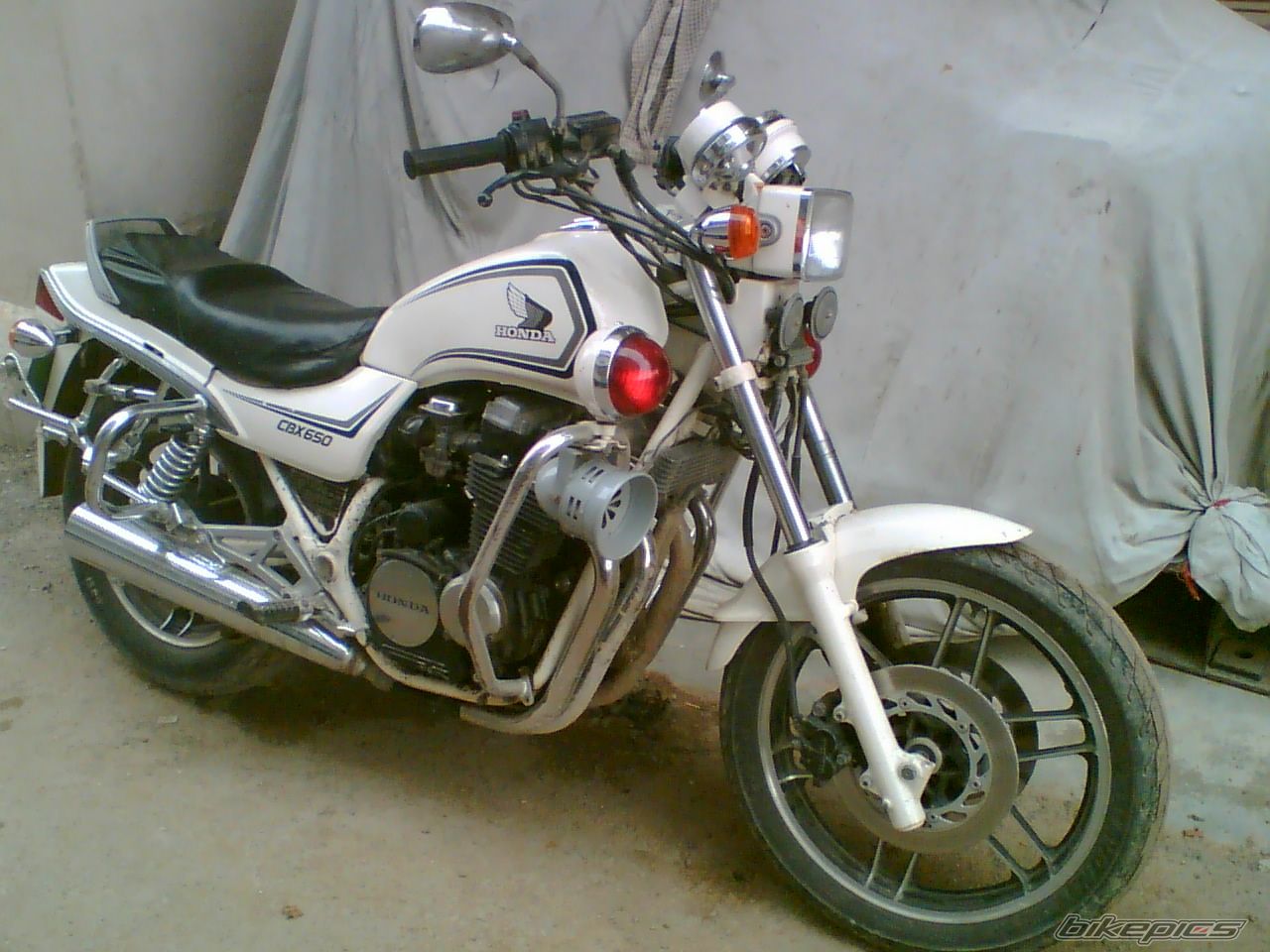 Photo 719251