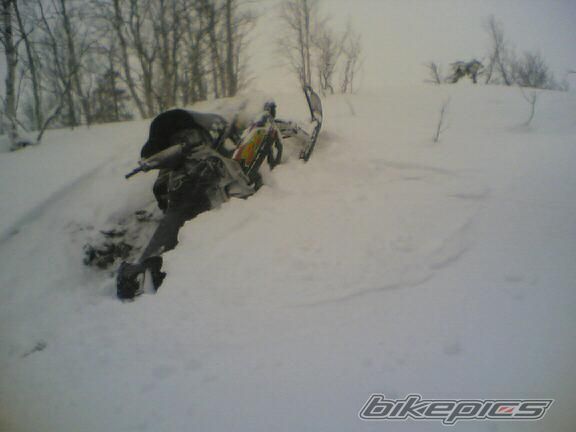 Photo 719331