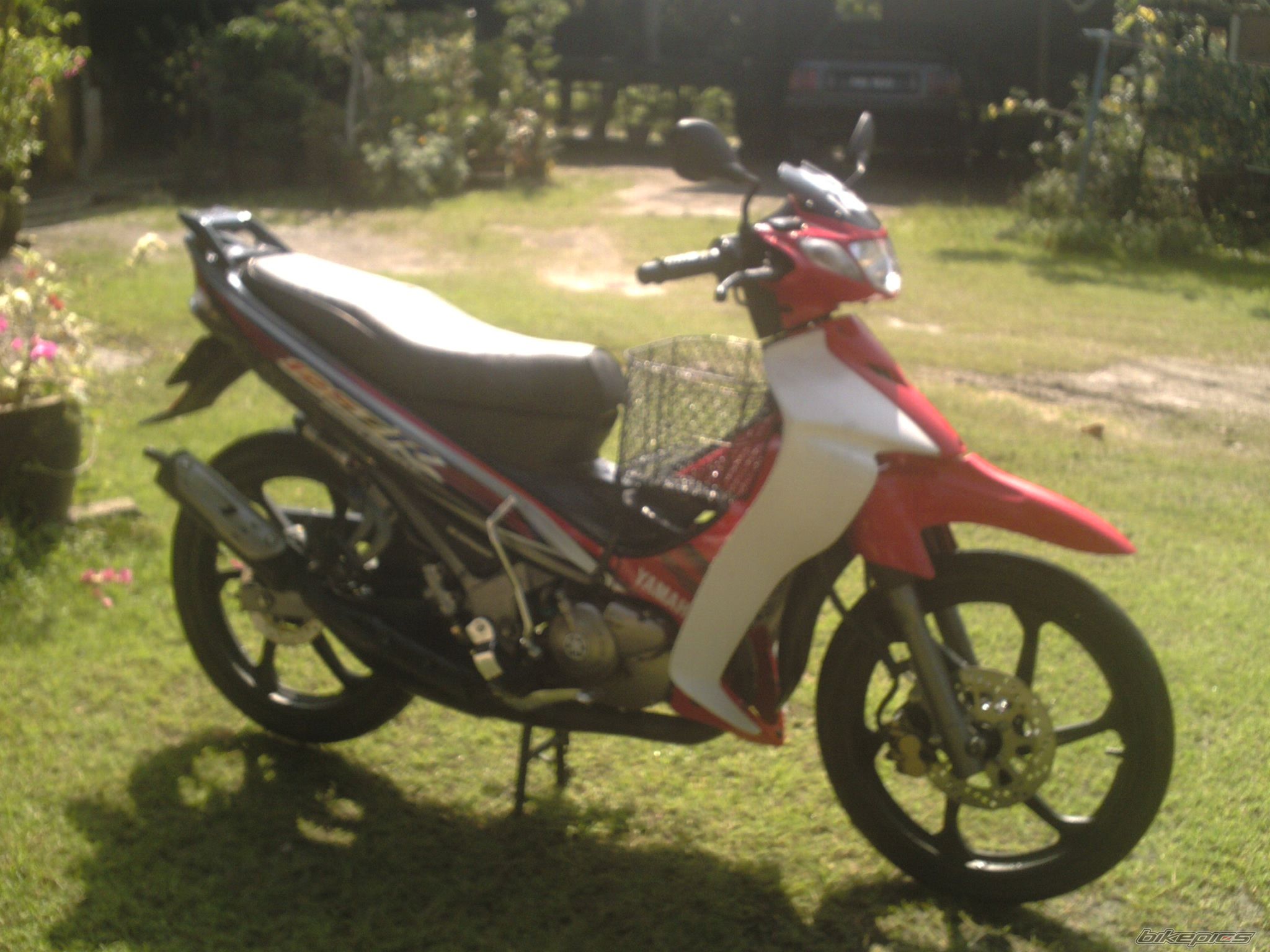 Photo 719402