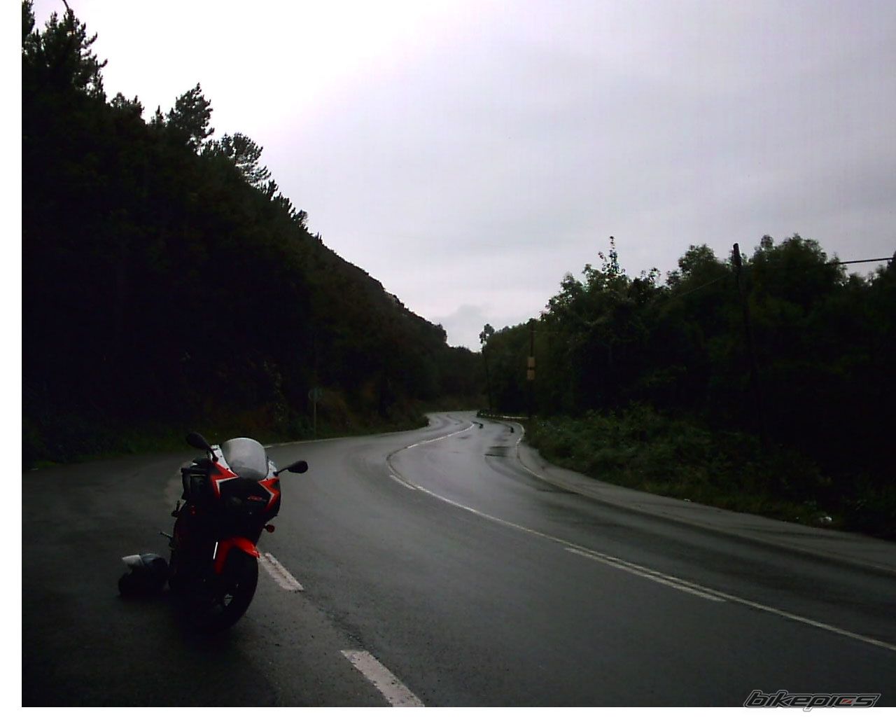 Photo 719567