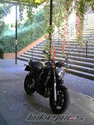 Bike Photo 719601