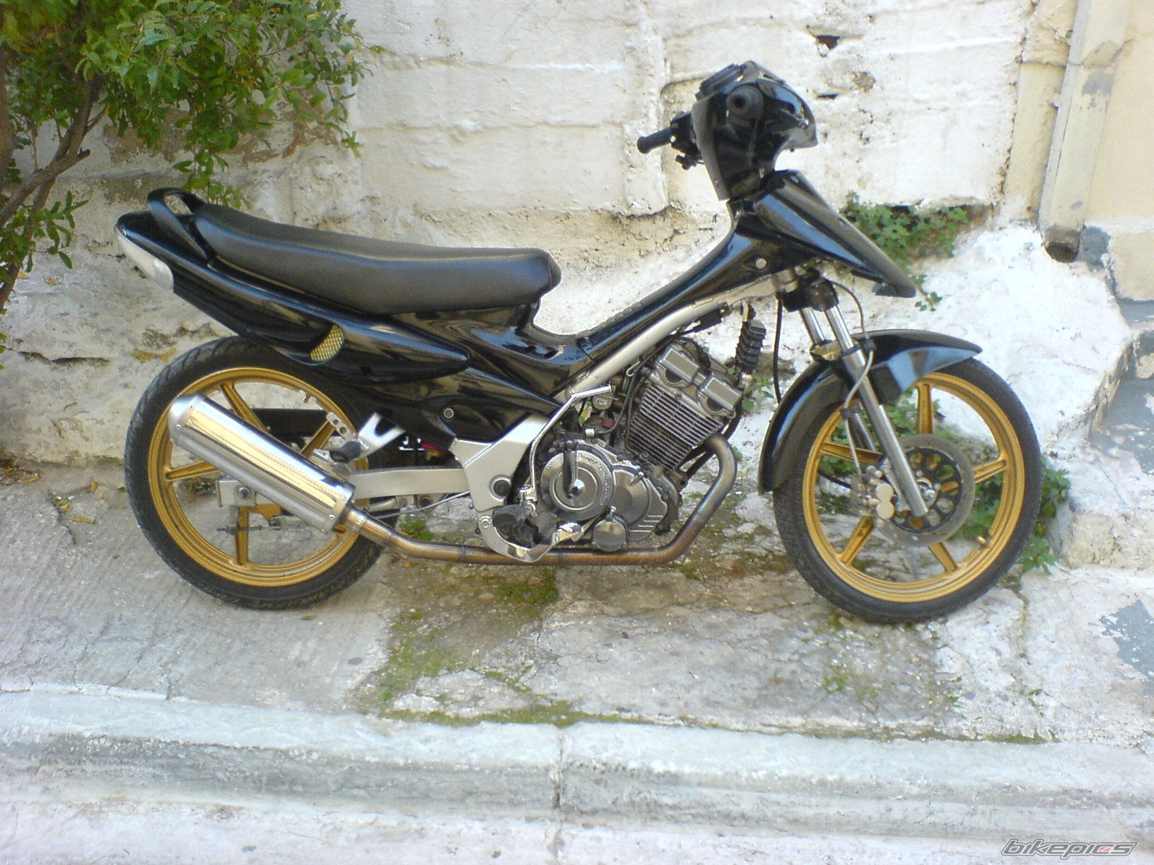 Photo 719660