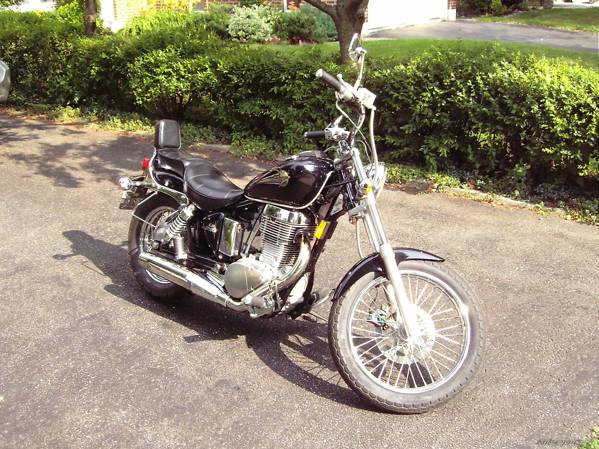 Photo 719803