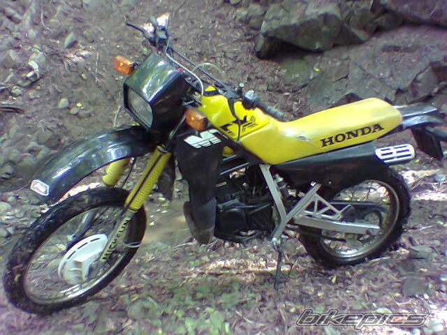 Photo 719809